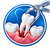 Tooth extractions icon